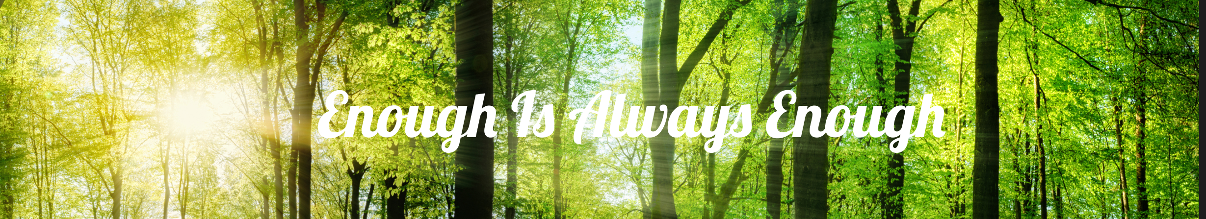Enough Is Always Enough Logo